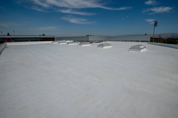 Best Roof Moss and Algae Removal  in Aragon, GA