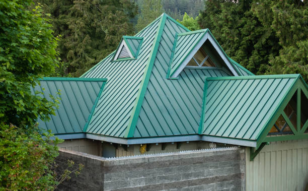Best Roof Moss and Algae Removal  in Aragon, GA