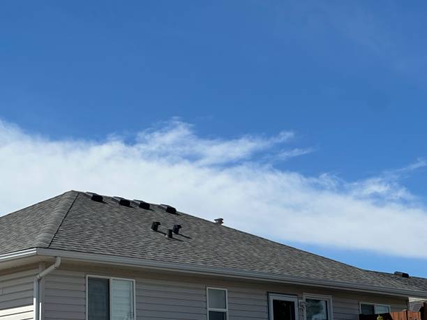 Best Roof Coating and Sealing  in Aragon, GA