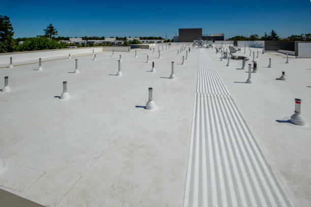 Best Asphalt Shingle Roofing  in Aragon, GA